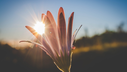 Untitled design_20250422_174103_0000.png