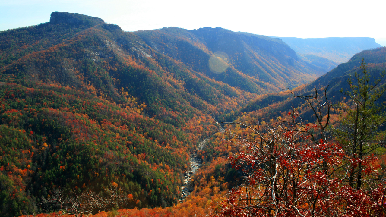 Mindful Touch's Leaf-Peeping Guide for Blue Ridge Travelers.png